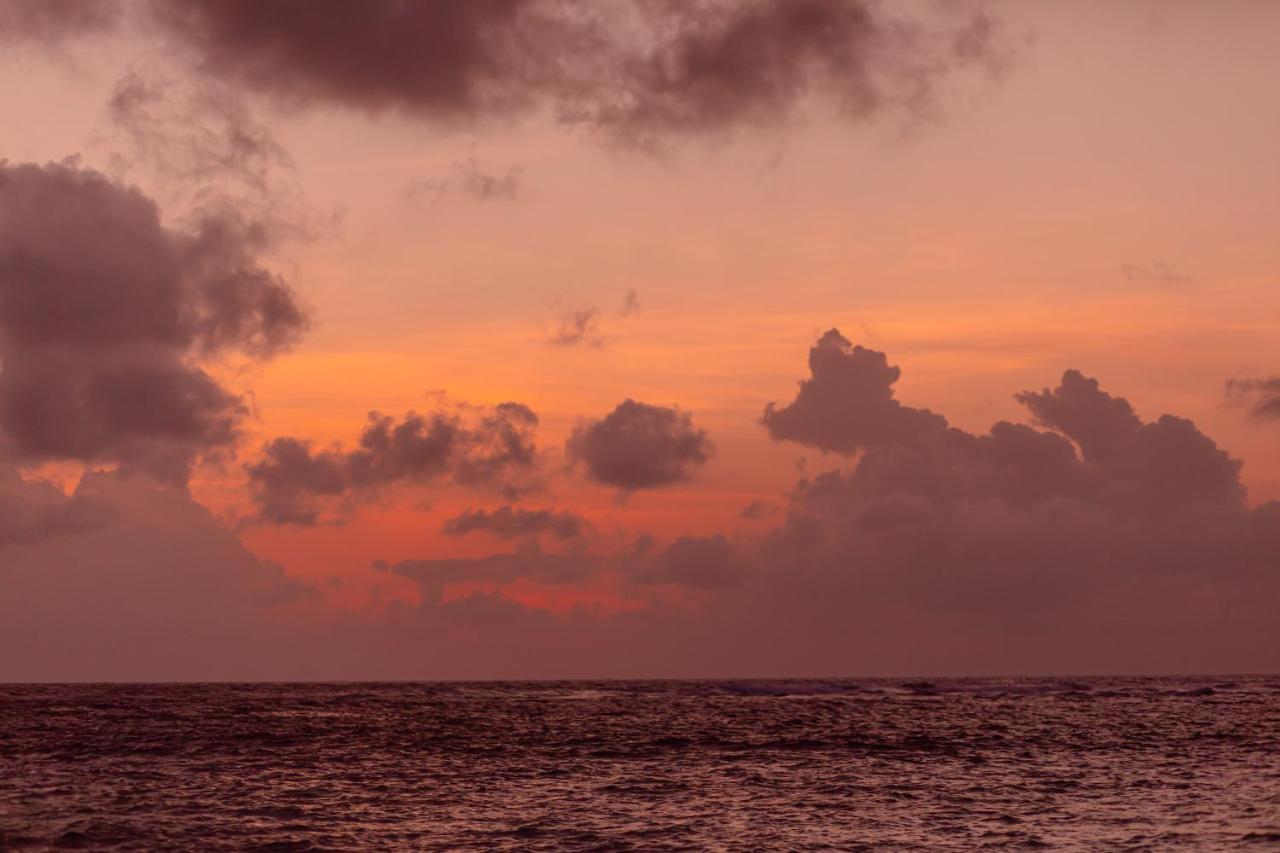 Wow Retreat Felidhoo Exterior foto