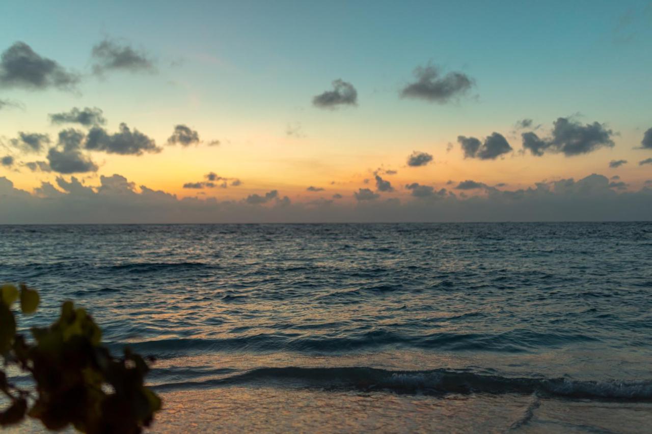 Wow Retreat Felidhoo Exterior foto