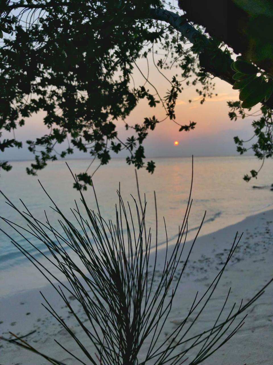 Wow Retreat Felidhoo Exterior foto