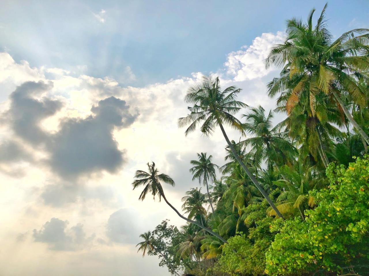 Wow Retreat Felidhoo Exterior foto