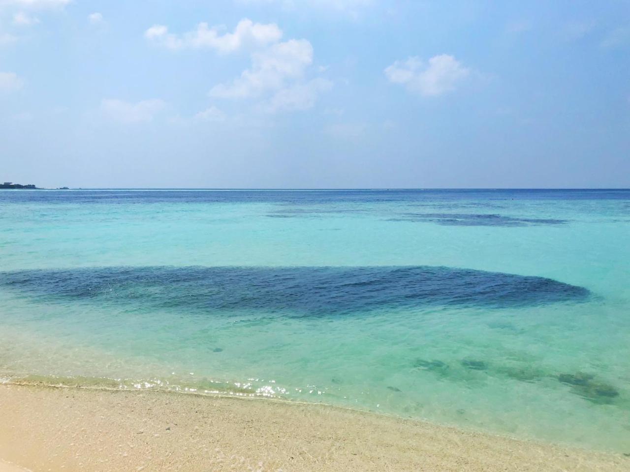Wow Retreat Felidhoo Exterior foto