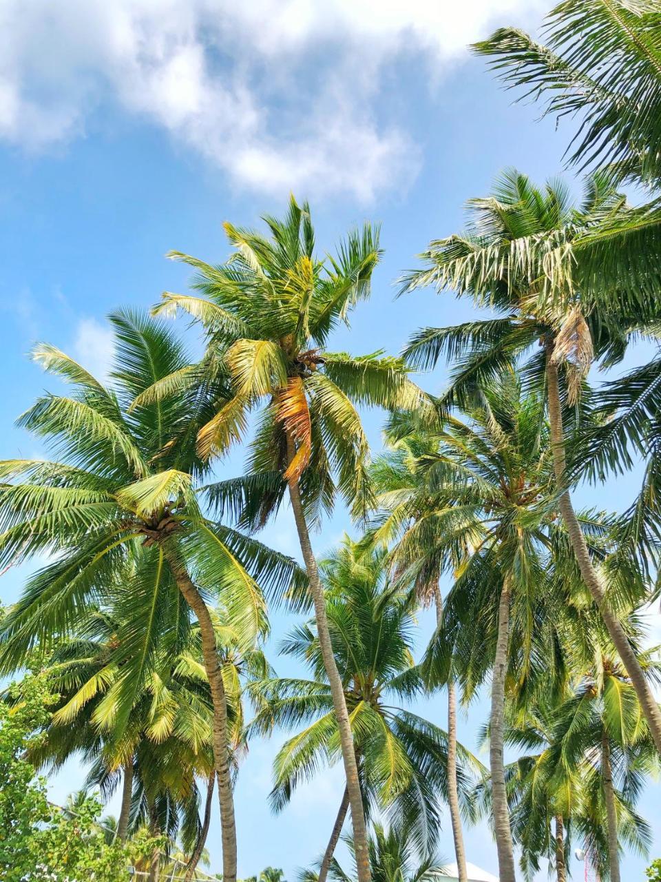 Wow Retreat Felidhoo Exterior foto